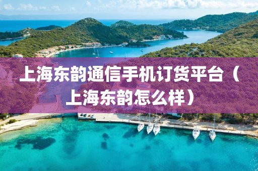 上海东韵通信手机订货平台（上海东韵怎么样）